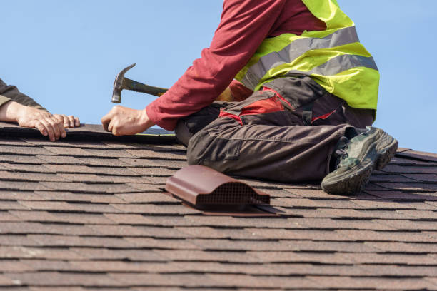Best Roof Gutter Cleaning  in Fox Lake, WI