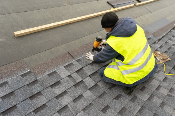 Best Roof Repair Services  in Fox Lake, WI