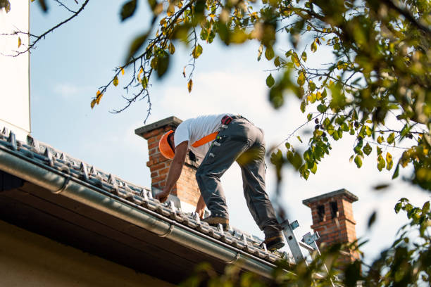 Best Storm Damage Roof Repair  in Fox Lake, WI