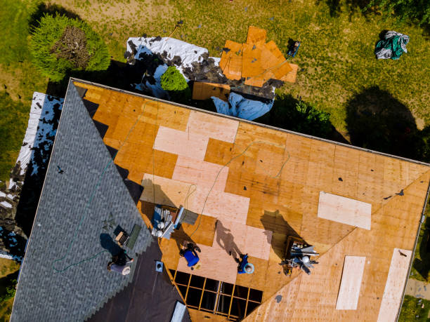Best Roof Repair Specialists  in Fox Lake, WI