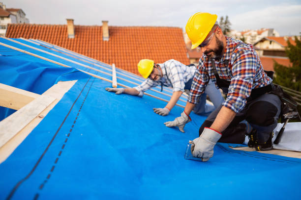 Best Roof Maintenance Services  in Fox Lake, WI
