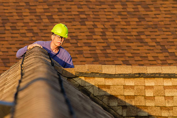 Best Flat Roof Repair Services  in Fox Lake, WI
