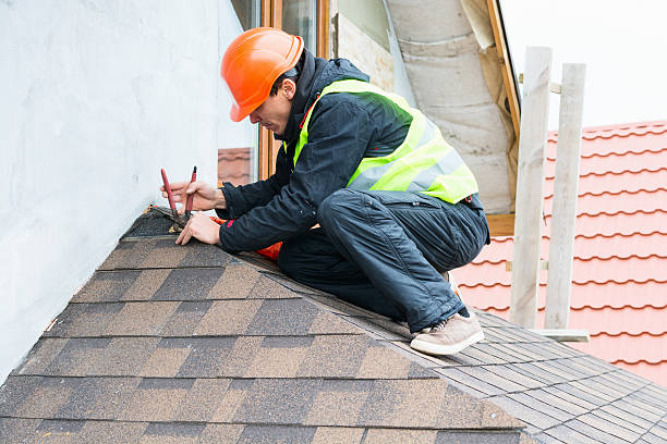 Best Roof Leak Repair  in Fox Lake, WI